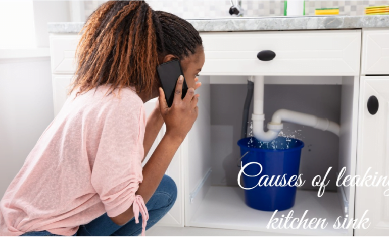 Causes of leaking kitchen sink