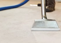 Simple Carpet Care Tips For Extending The Life Of Your Carpets