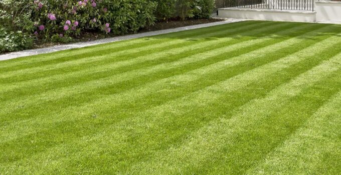 Real Grass or Artificial Turf? Choosing the Best Option for Your Yard