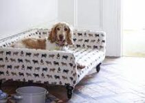 Top 10 tips to transform your home into a perfect sanctuary for pets