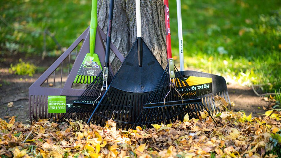 Essential Leaf Raking Tools to Have at Your Fingertips