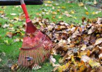 14 Essential Leaf Raking Hacks for Homeowners to Simplify Yard Cleanup