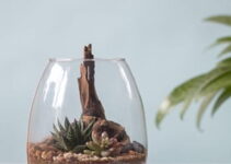12 Mind-Blowing DIY Terrarium Ideas: Relaxing and Creative Projects