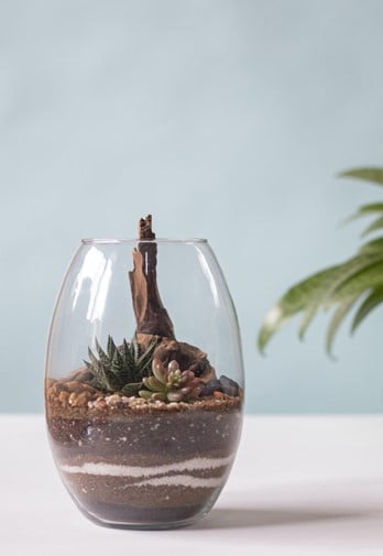 12 Mind-Blowing DIY Terrarium Ideas: Relaxing and Creative Projects